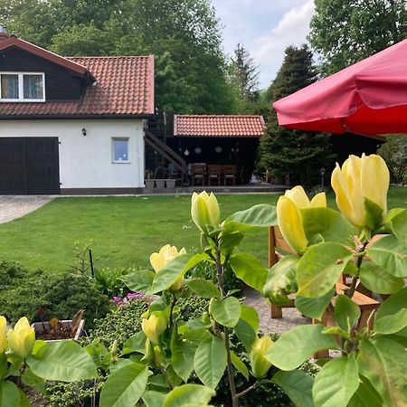 Magnolia Leilighet Kruklanki Eksteriør bilde