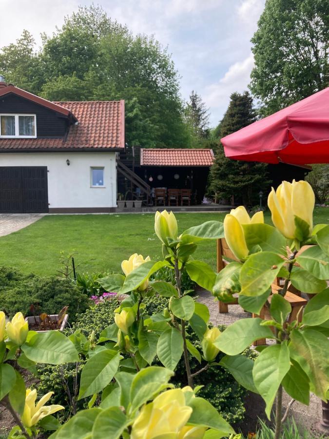 Magnolia Leilighet Kruklanki Eksteriør bilde