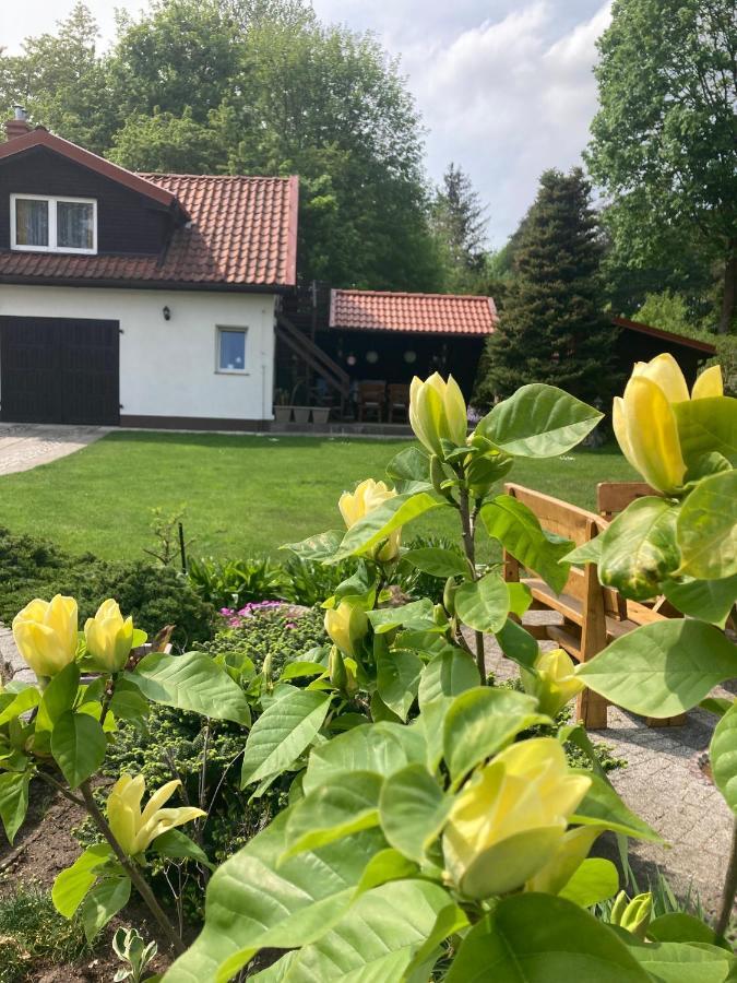 Magnolia Leilighet Kruklanki Eksteriør bilde